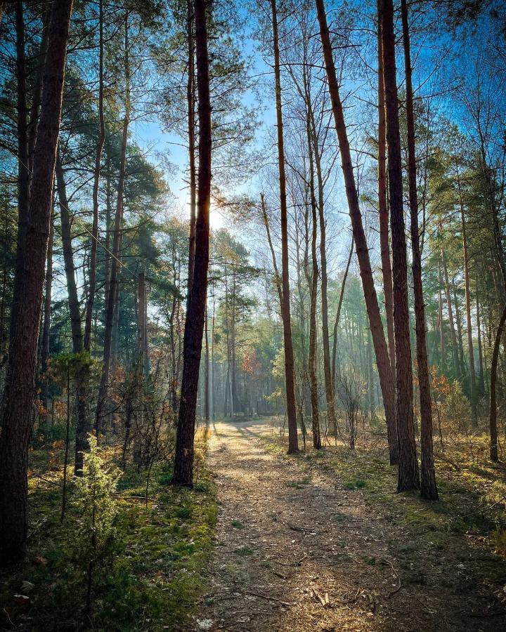 Park Rekreacyjno-Biznesowy Las Woda Wilga Exterior photo