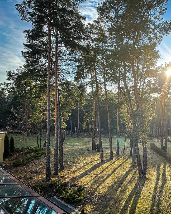 Park Rekreacyjno-Biznesowy Las Woda Wilga Exterior photo